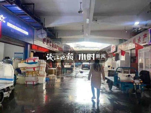 浙籍奧運(yùn)冠軍同款 鮮掉眉毛的東海梭子蟹 帶魚(yú)最快3日凌晨到杭州