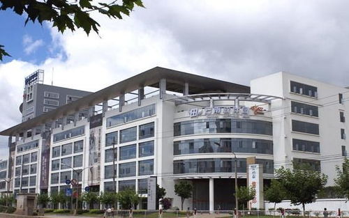 昆明彩之韻商務信息咨詢 專業服務助您商務騰飛