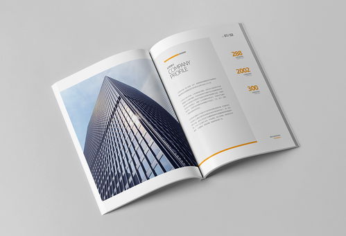 簡約大氣，專業信賴 商務咨詢與投資企業公司畫冊
